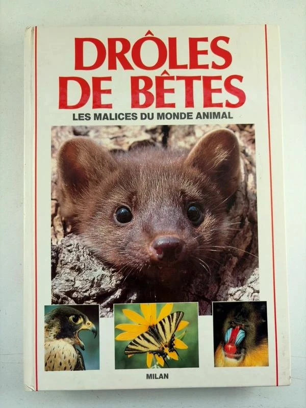 Drôles de bêtes – Les malices du monde animal – Milan